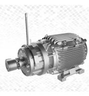 Crane Hoist Duty S4/S5 Cycle Motors 1.5-100kW 415V IP55 4/6 Pole TEFC | High Torque Class F Insulation | B3/B4/B5/B14 Mounting | 40-60% Duty Cycle | EOT/Crane Applications DEWA Approved UAE Heavy Duty